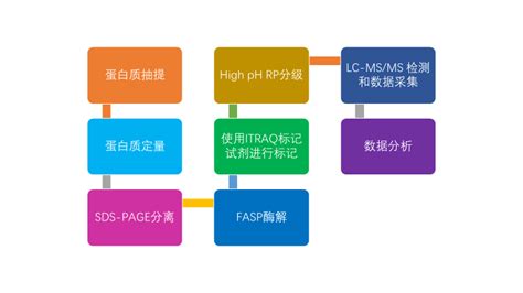 蛋白质化学与组学平台技术概述_清华大学蛋白质研究技术中心