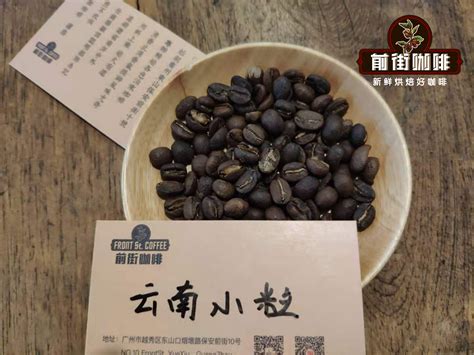 云南咖啡豆的整体风味口感特点描述 云南小粒咖啡品种产地品牌档次介绍 中国咖啡网