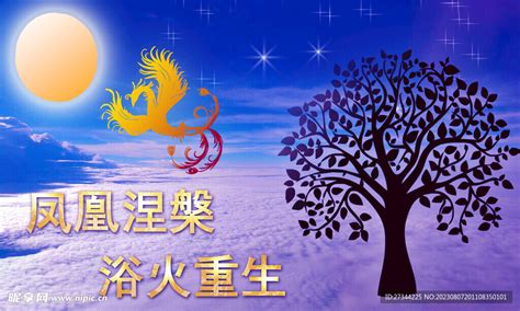 涅槃重生图片
