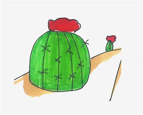 开花的仙人球简笔画画法图片步骤🎬小小画家