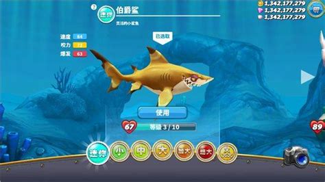 饥饿鲨世界999999钻无限金币(疯狂大鲨鱼)-心趣游戏