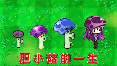 《水兵菇》植物大战僵尸完全拟人化_[标签:标题1]