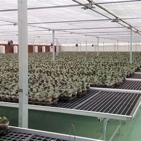 厂家供应温室苗床批发 大棚育苗养花栽培床 蔬菜水果种植苗床-阿里巴巴