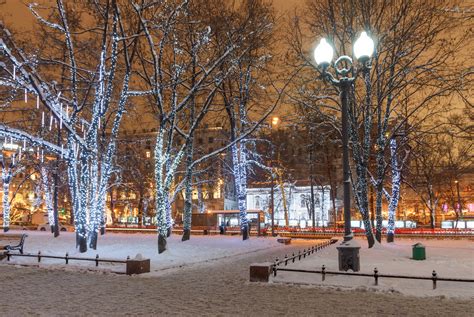 冬天装饰在树上的灯45454_城市夜景_城市建筑类_图库壁纸_68Design