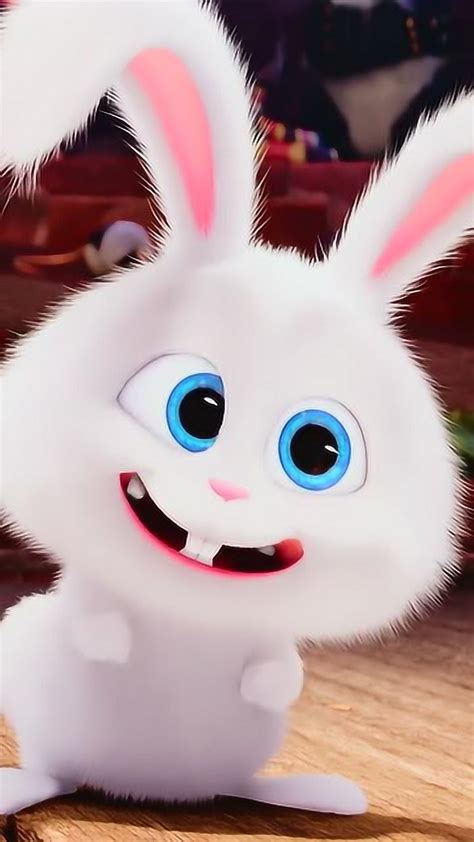 高清60帧好可爱的兔兔动态壁纸，想不到还是动物中的“领导”_腾讯视频