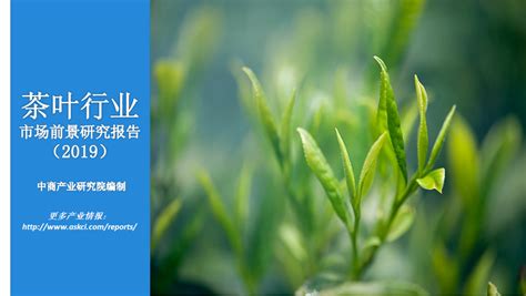 Forum for the Future：茶叶2030-全球茶叶产业展望报告-迈向茶业可持续发展的未来(pdf版)-三个皮匠报告
