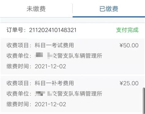 上海驾校报名费多少钱2021（2021年考C1驾照费用概览） - CST下载站