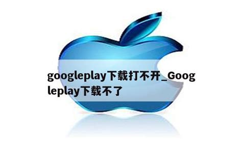 google play store为什么打不开-谷歌商店打不开解决方法介绍-熊猫515手游