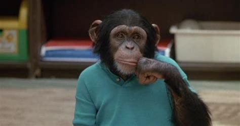 猴年来了，还记得那些关于“猴子”的电影吗？