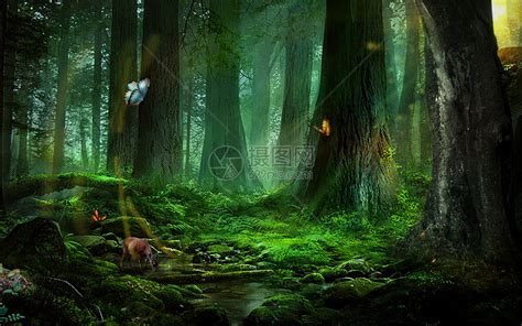 梦幻森林场景图片素材-正版创意图片400761670-摄图网