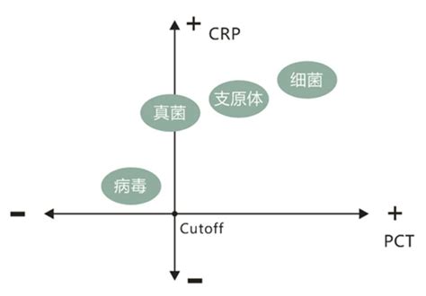 降钙素原（PCT）检测介绍及哪些情况推荐定期检测PCT - 行业动态 - 艾迪康医学检验中心