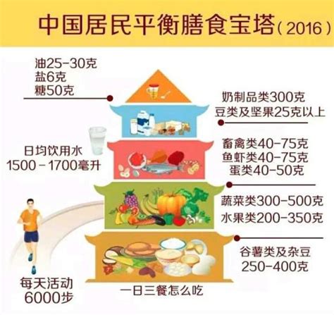 520中国学生营养日宣传栏设计图__展板模板_广告设计_设计图库_昵图网nipic.com