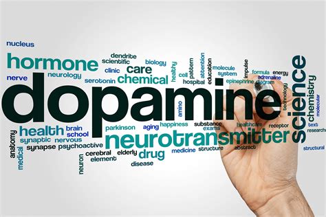 Dopamine and its Functions