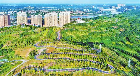 内江市东兴区 激发内生动能 加速县域经济发展--四川经济日报
