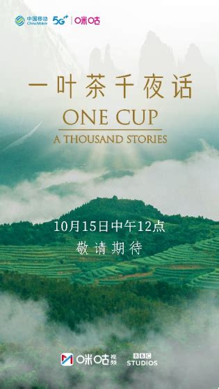 禅意煮茶中国茶文化摄影海报模板素材-正版图片401861510-摄图网