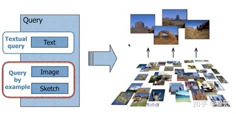 深度学习: 细粒度图像识别与分析系列学习笔记（三）ddt方法 - 知乎