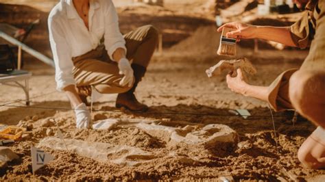 考古文博学院参与发掘的广东英德青塘遗址荣获2018年度全国十大考古新发现