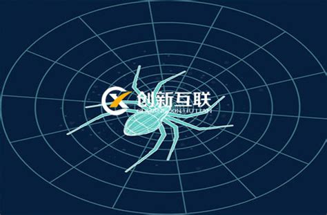网站优化检查网站首页的代码删除蜘蛛爬行的原理是什么百度优化专业的网站排名优化_关键词优化_seo优化