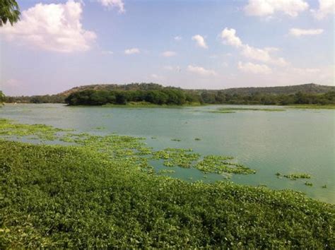 Pashan Lake (Pune) - ATUALIZADO 2023 O que saber antes de ir - Sobre o ...