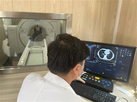 SCN-4. 肺癌CT筛查结果和管理