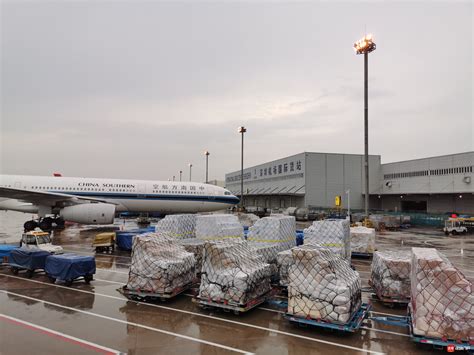 深圳机场推出10余项新举措 打造优质高效航空货运发展_读特新闻客户端
