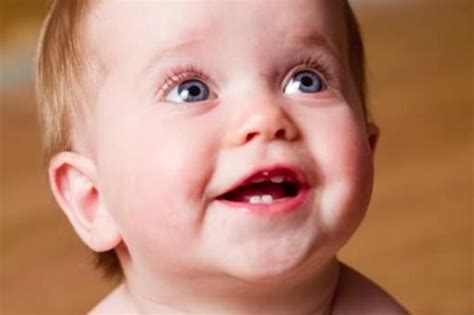 宝宝长牙齿需要额外补钙吗？你给宝宝刷牙了吗？