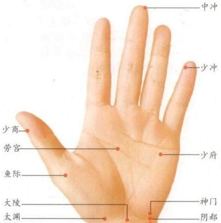 手指头区分图,手指区分图,手指头分解图(第8页)_大山谷图库