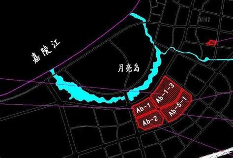 老干部、评审专家为龙门古镇建设建言_城市_南房网·南充房产网