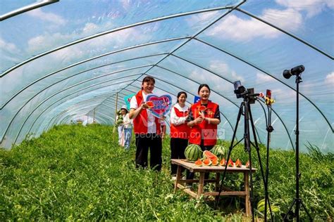 江苏泗洪：党员志愿者直播助农拓宽销售渠道-人民图片网