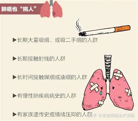 肺癌四种类型，肺腺癌、肺鳞癌、小细胞肺癌……有什么特点，怎么治疗？ - 知乎
