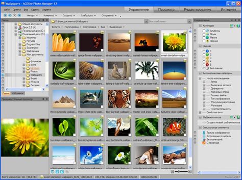 ACDSee Photo Manager 12 Makes Short Work of a Mess of Photos | PCWorld