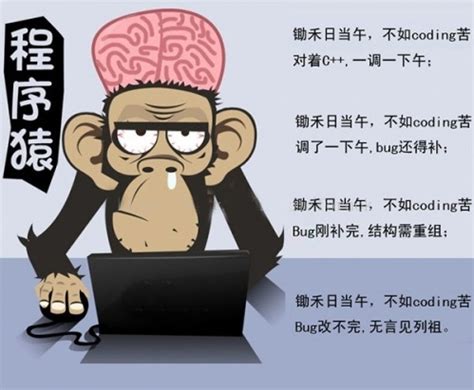 为什么要雇佣一名老程序员 这五点或许可以说服你 - 开源中国