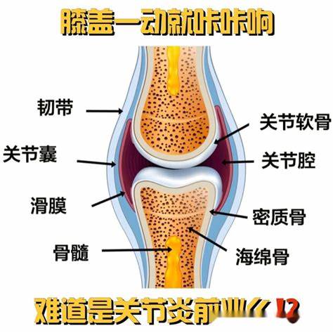 灯泡一个正常一个滋滋响