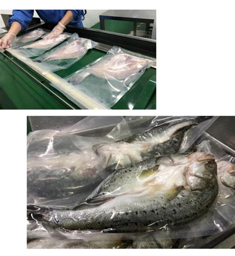 龙利鱼柳鱿鱼鲈鱼红星斑鱼通用海鲜袋真空冷冻生鲜一次性包装袋-阿里巴巴