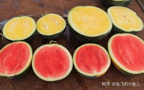 黄瓤西瓜和红瓤西瓜，两者营养区别大？瓜农无奈说出实情