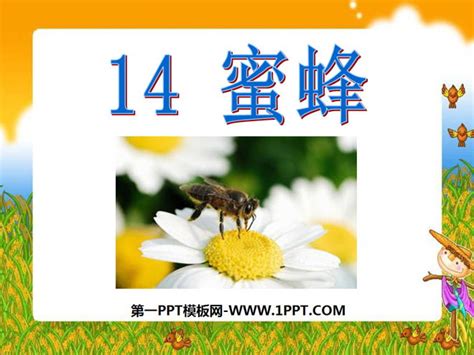 部编版三年级下册第14课《蜜蜂》知识点_深圳学而思1对1