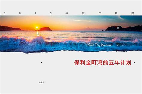 汕尾保利·金町湾5年计划推广提案【pdf】 - 房课堂