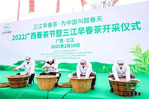 2023广西春茶节暨三江早春茶开采节在三江举行