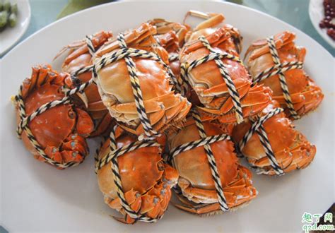 螃蟹放冰箱可以放几天不死 螃蟹怎么放冰箱保存-趣丁网