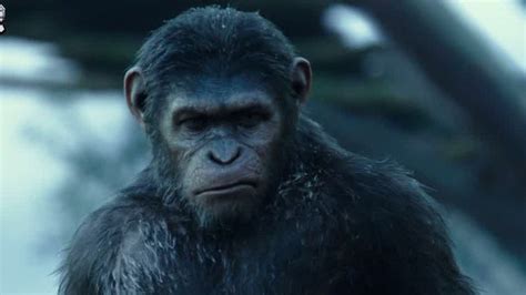 《猩球崛起2黎明之战》，一部让大猩猩感动的电影