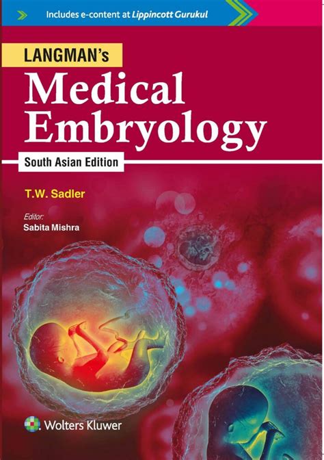 Langman, Embriología 14 Ed. | Envío gratis