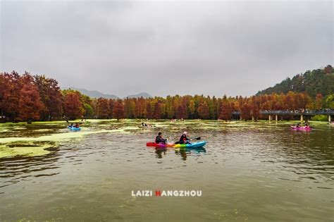 2024青山湖风景区游玩攻略,宁静而又美丽，湖很大，就在...【去哪儿攻略】