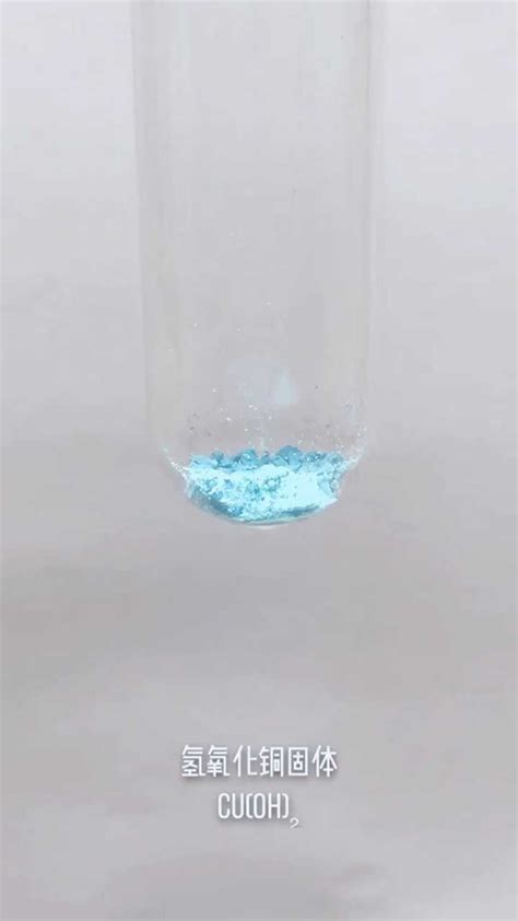 初中化学实验 54 铁和硫酸铜溶液的反应