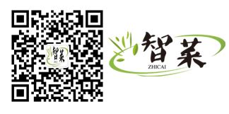读懂民营经济发展的“温州密码”-新闻中心-温州网