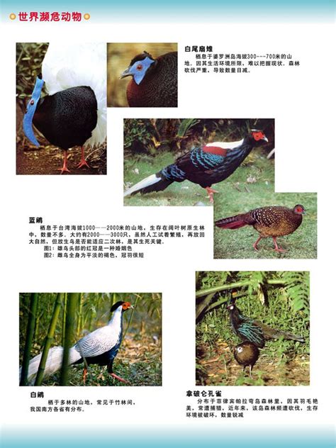 世界自然保护联盟（IUCN）濒危物种红色名录——物种的保护状况 – 北京天佑工作室