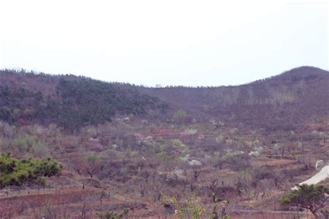 龙口市政府 镇街区动态 探访芦头镇山区村中的“小江南”迟家沟村