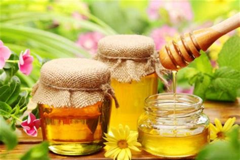 土蜂蜜的功效与作用及食用方法 - 土蜂蜜 - 酷蜜蜂