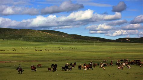 内蒙古锡林郭勒盟|文章|中国国家地理网