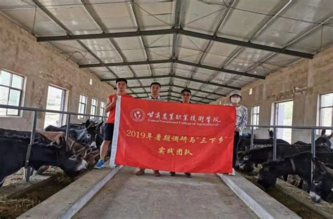 肃南裕固自治县人民政府-肃南县马蹄藏族乡多措并举为十万头牛羊保驾护航