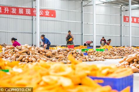 抚顺路批发市场日销西瓜6万斤！今夏，青岛人有多爱“吃瓜”？